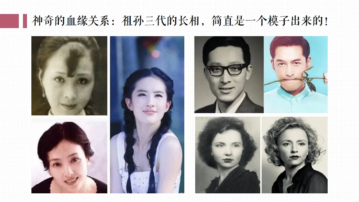 17351940第8页
