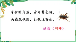 統(tǒng)編版三年級語文上冊課件《10 在牛肚子里旅行》
