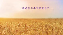 統(tǒng)編版三年級語文上冊課件《6 秋天的雨》