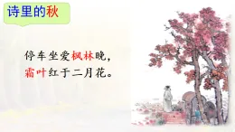 統(tǒng)編版三年級語文上冊課件《5 鋪滿金色巴掌的水泥道》