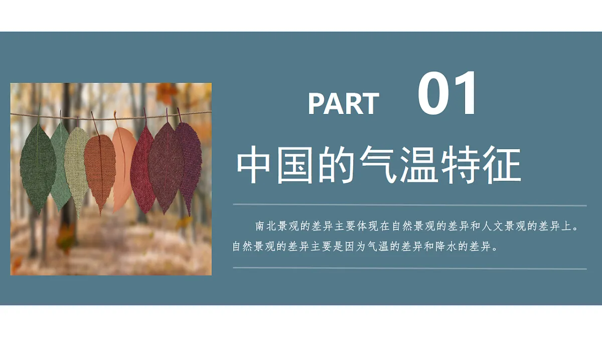17352840第3页