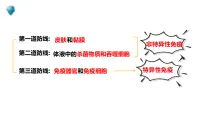 生物八年级上册（2024）第二节 免疫与免疫规划课堂教学课件ppt