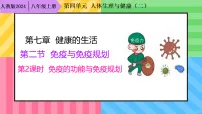 八年级上册（2024）第四单元 人体生理与健康（二）第七章 健康地生活第二节 免疫与免疫规划备课课件ppt