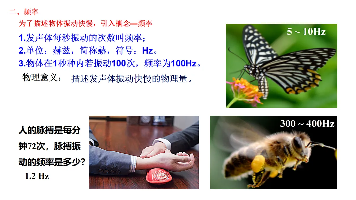 17353112第7页