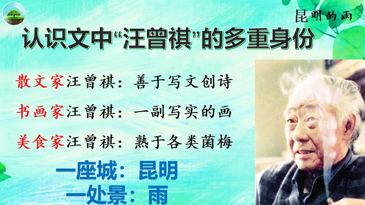 17353169第5页