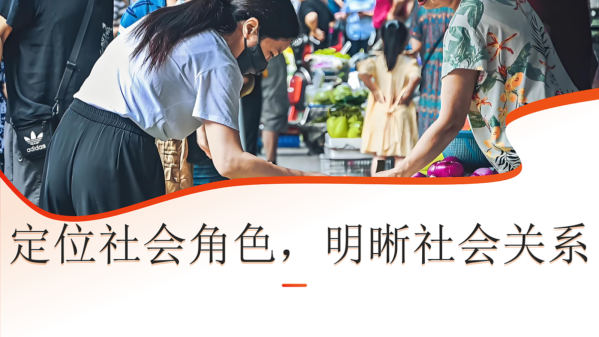 17353215第3页