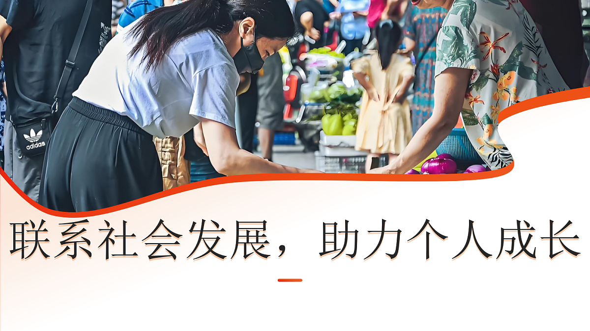 17353215第8页