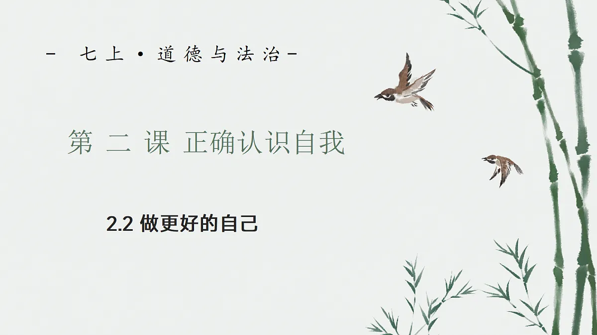 17353236第1页