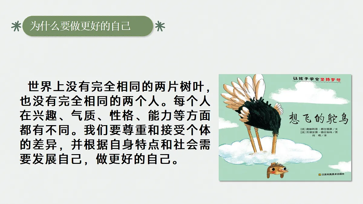 17353236第8页