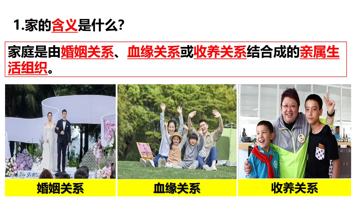 17353241第7页