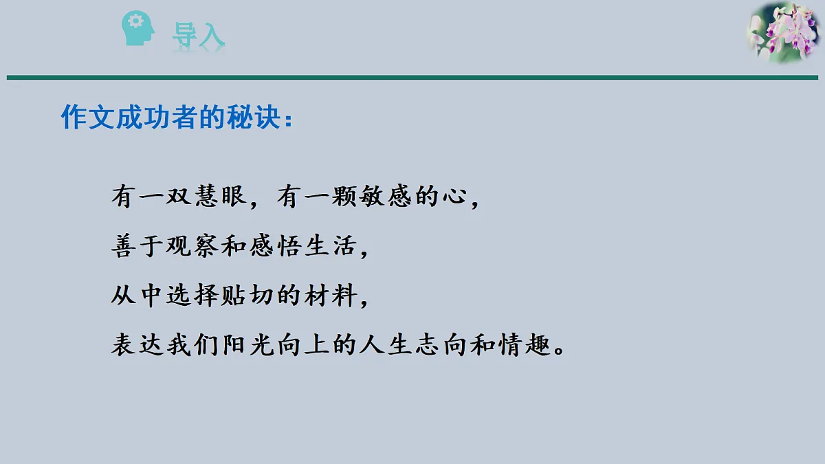 17354036第5页