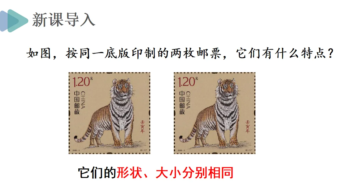 17354194第3页