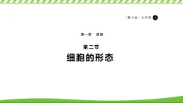 1.1.2細(xì)胞的形態(tài)課件+2025-2026學(xué)年冀少版生物七年級上冊