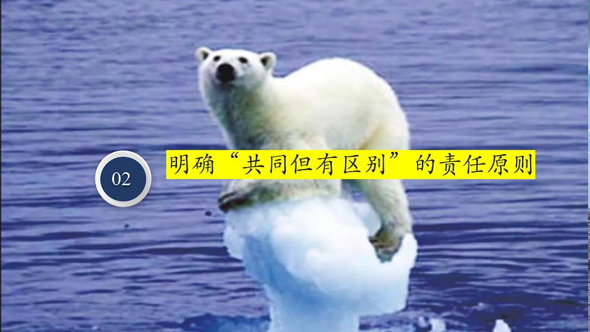 【新课标】第九章人类命运共同体 学习主题+素养提升 精品课件第5页