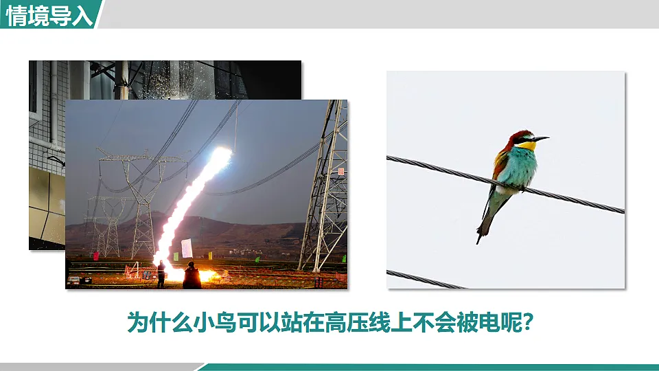 17355776第4页
