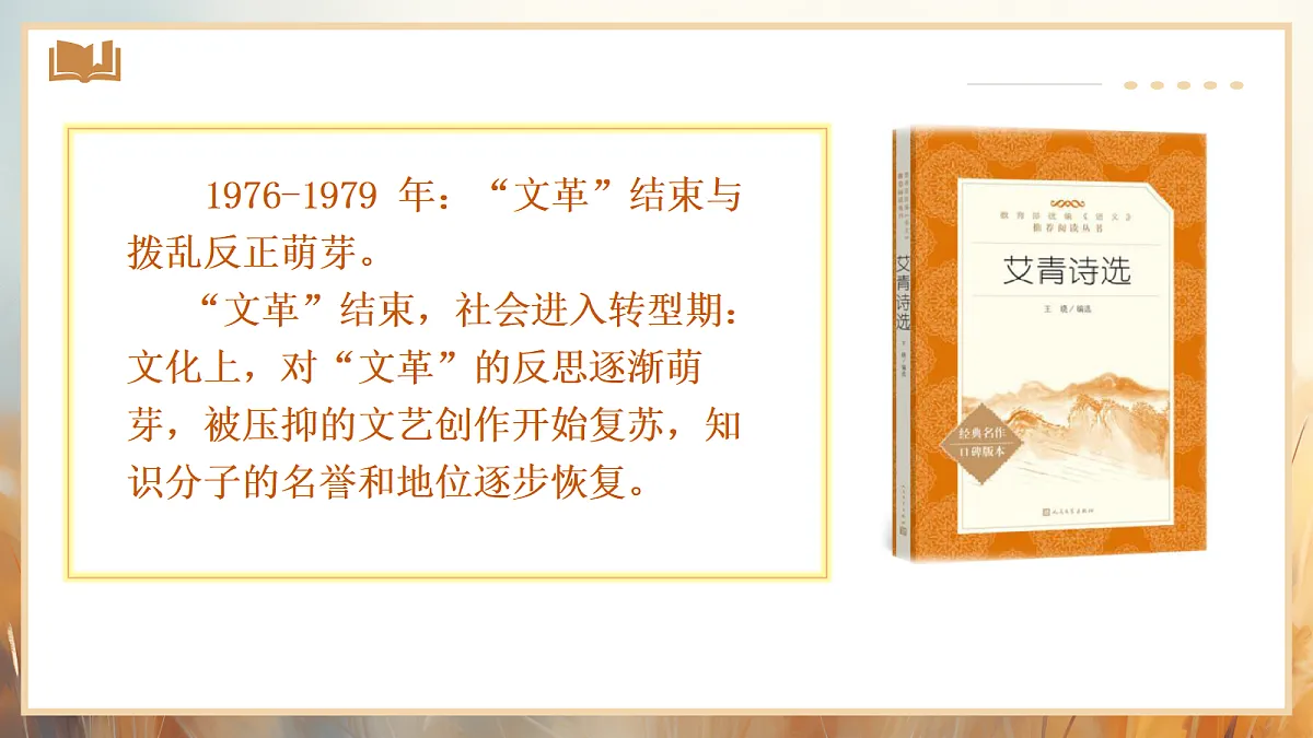 17356251第2页