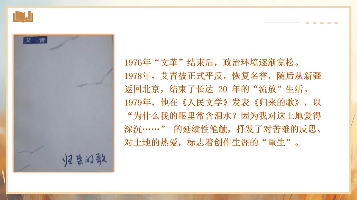 17356251第3页