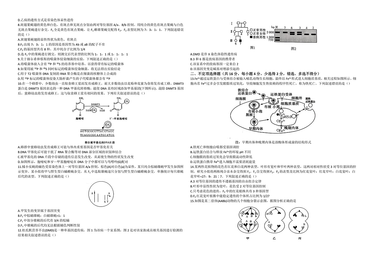 邵阳市第二中学2025-2026学年高二上学期入学考试 生物第2页