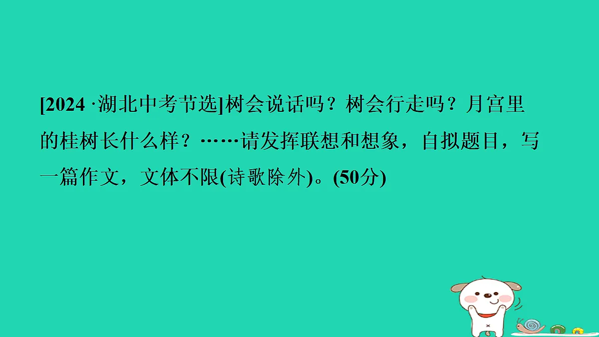 17356703第2页