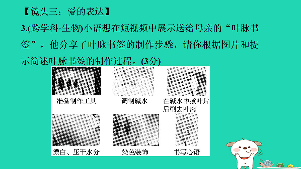 17356718第8页