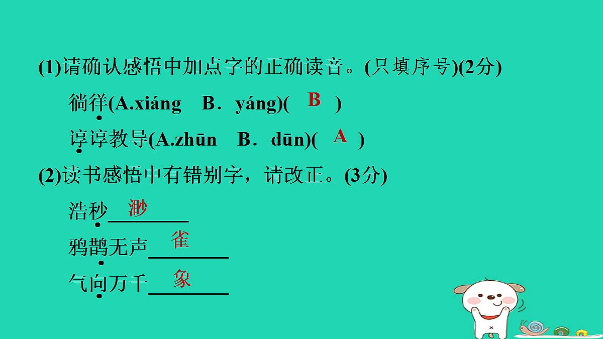 17356723第5页