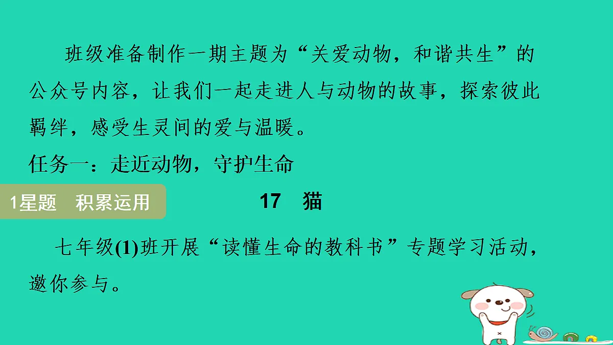 17356733第3页