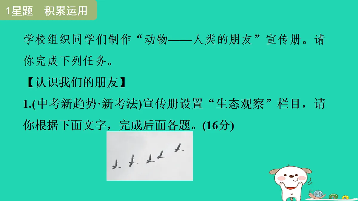 17356735第3页