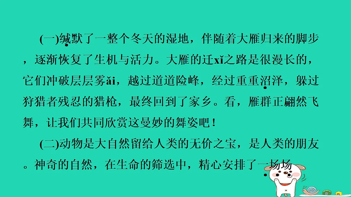 17356735第4页