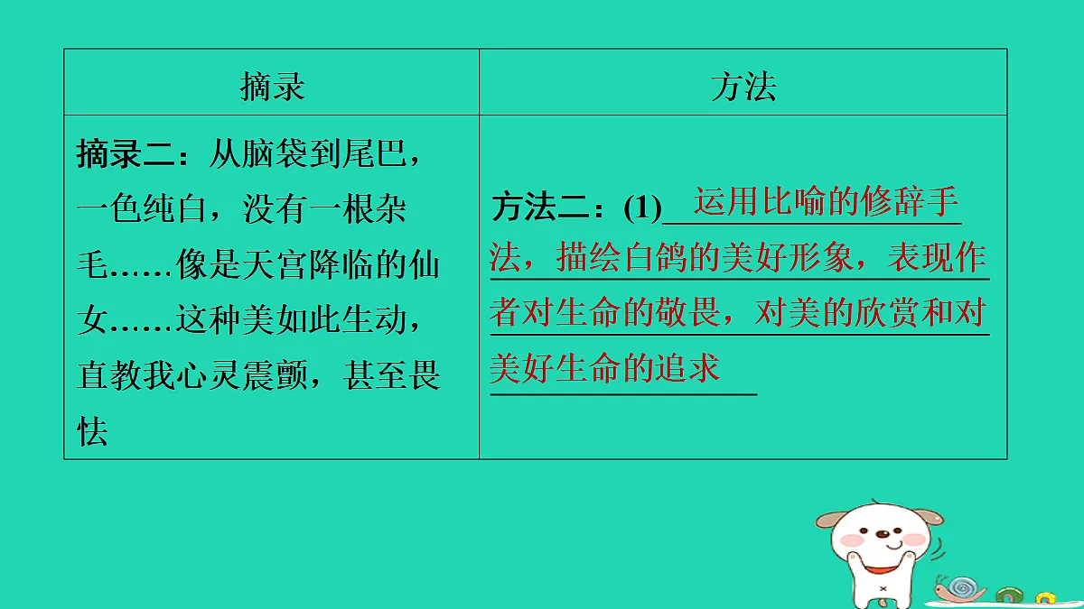 17356737第7页