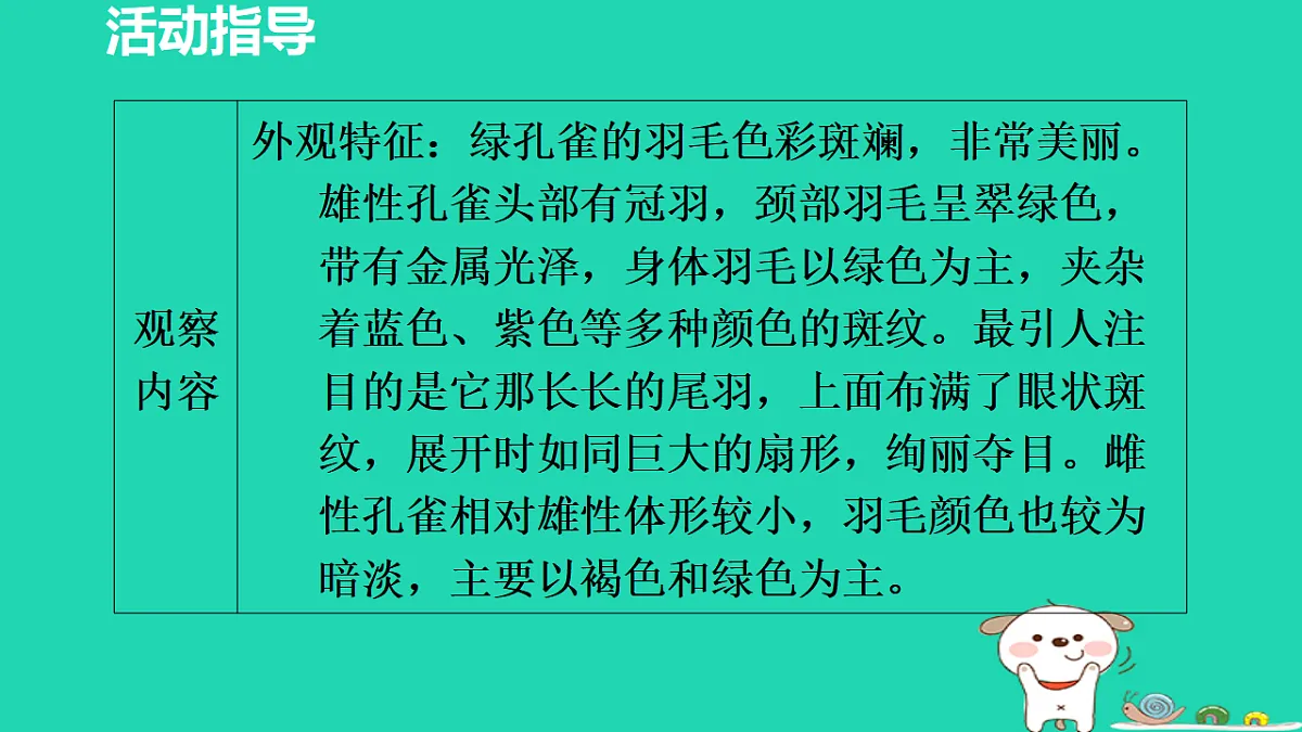 17356763第5页