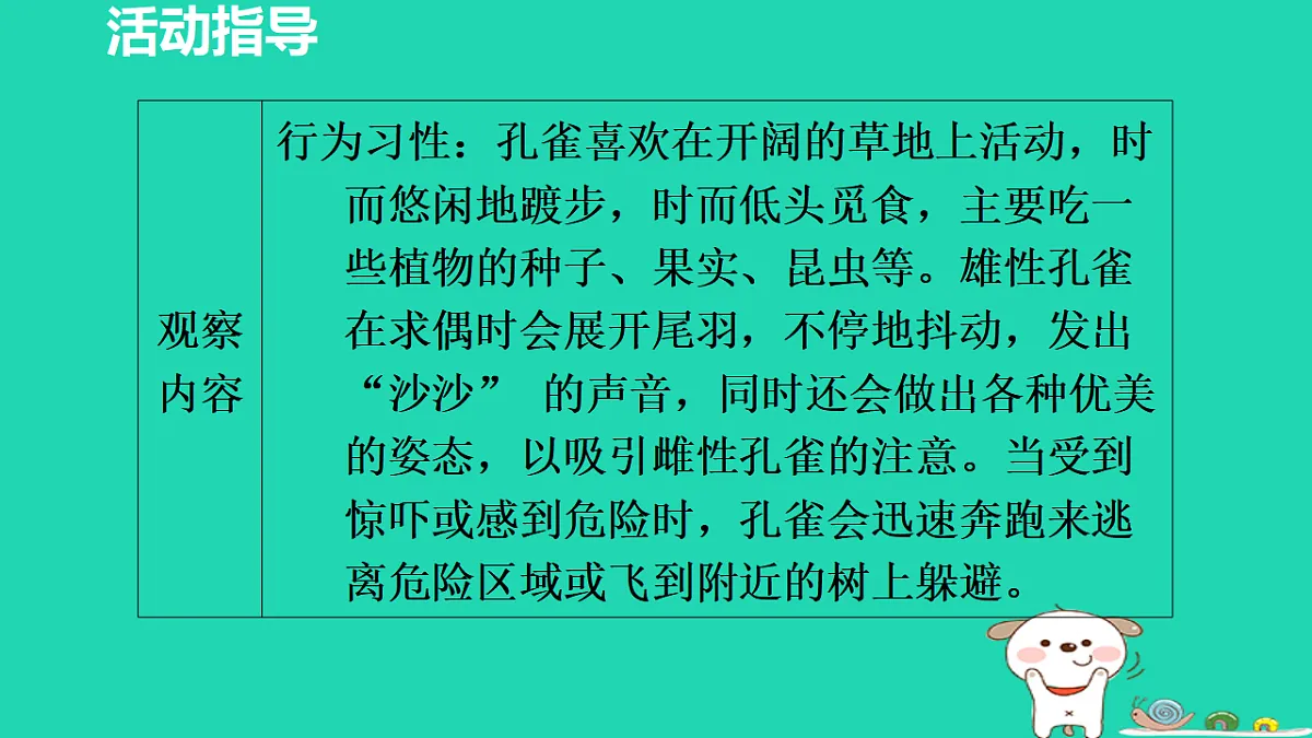 17356763第6页