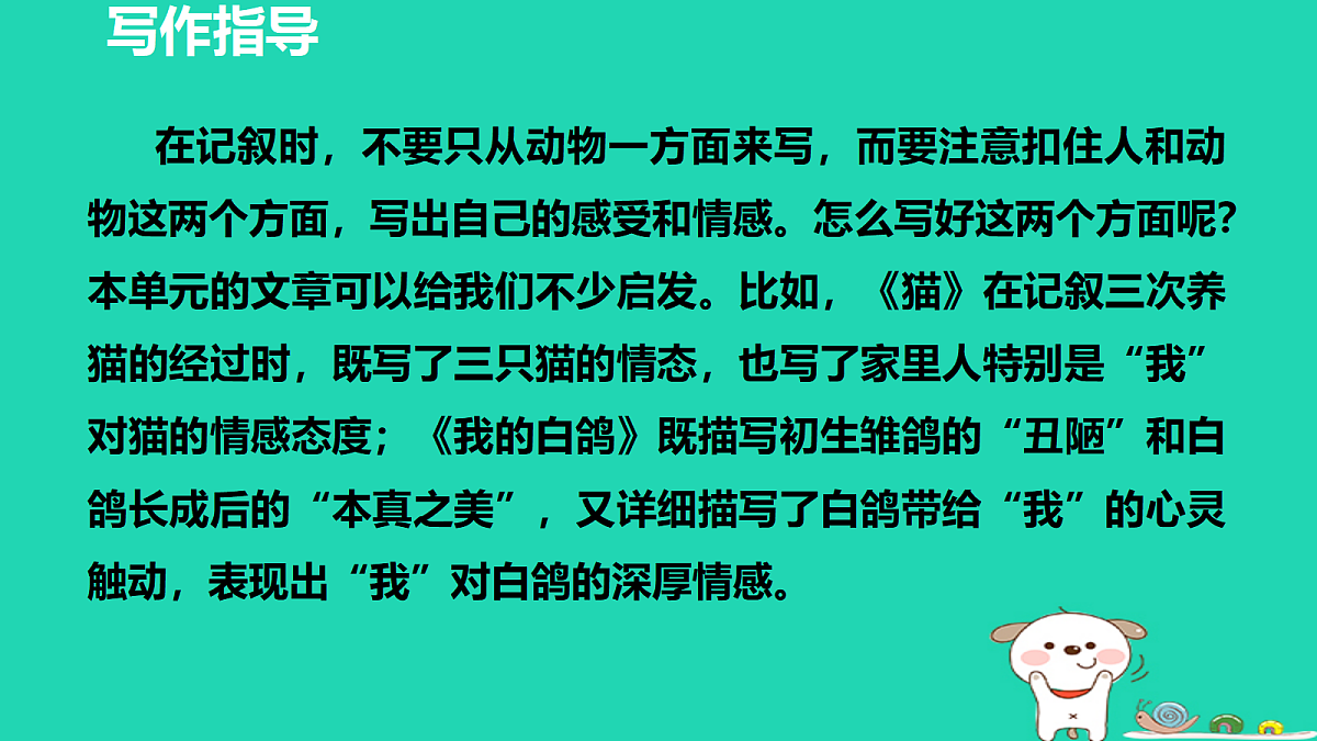 17356764第4页