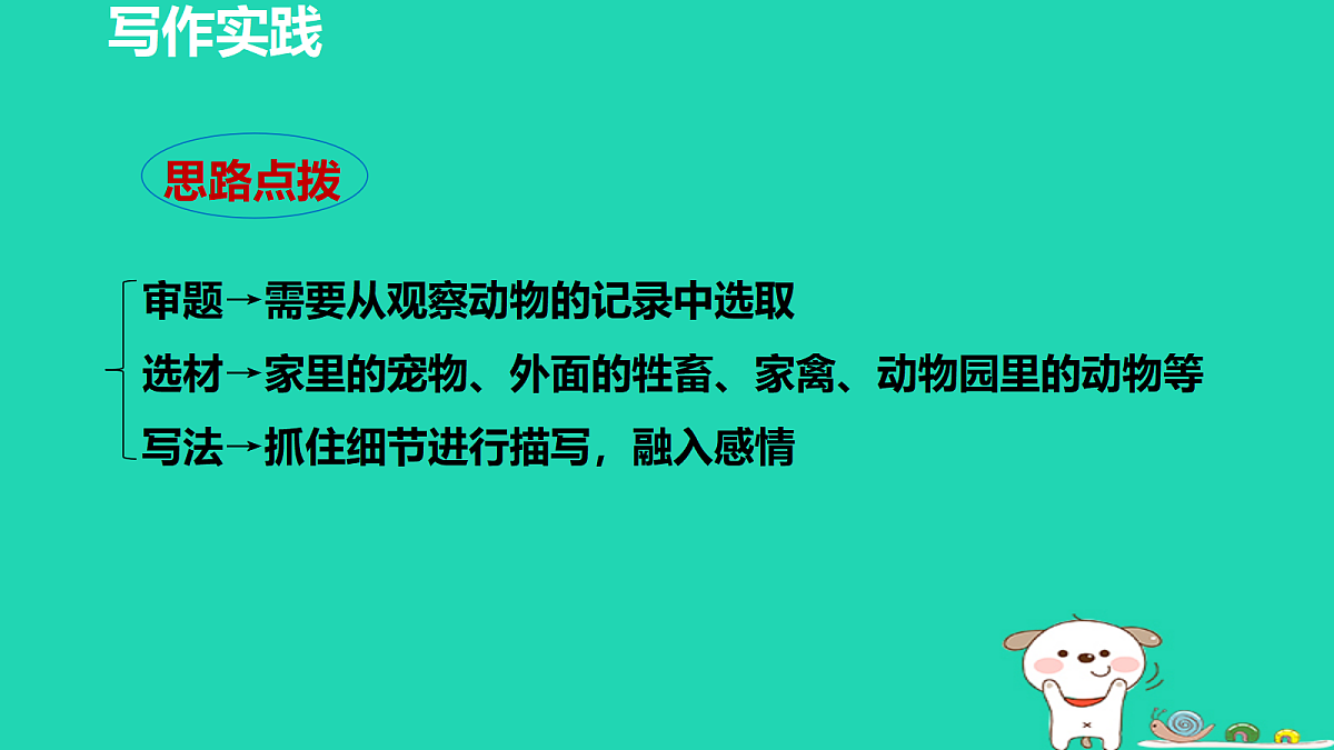 17356764第8页