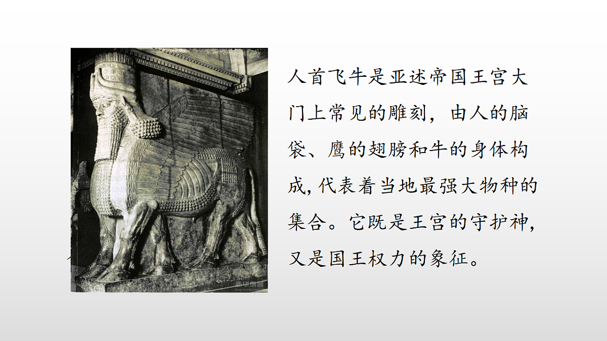 17356959第7页
