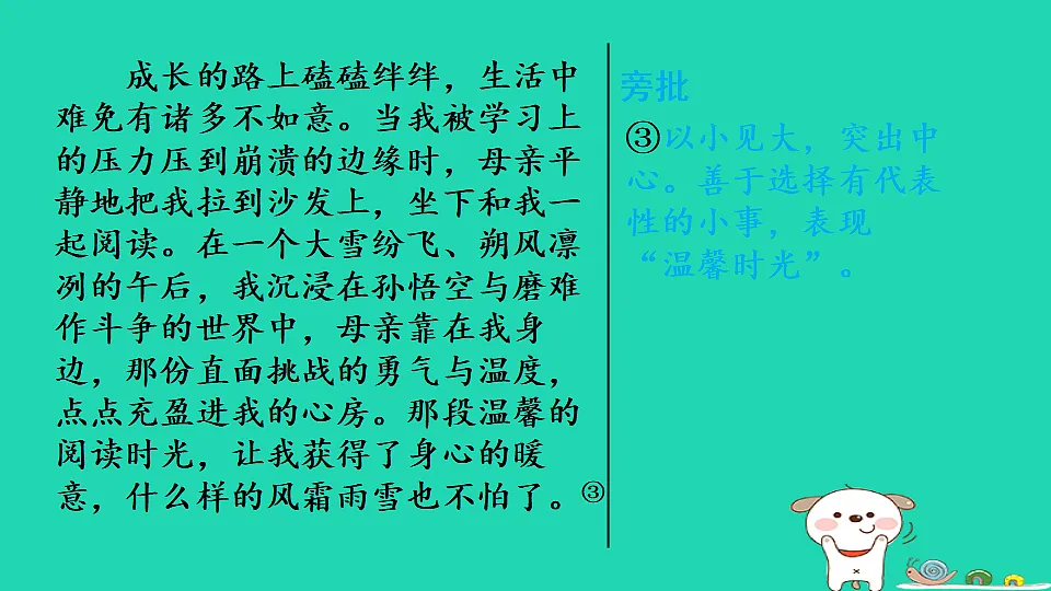 17357405第8页