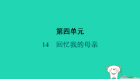 初中语文人教部编版（2024）七年级上册（2024）回忆我的母亲/朱德课堂教学ppt课件