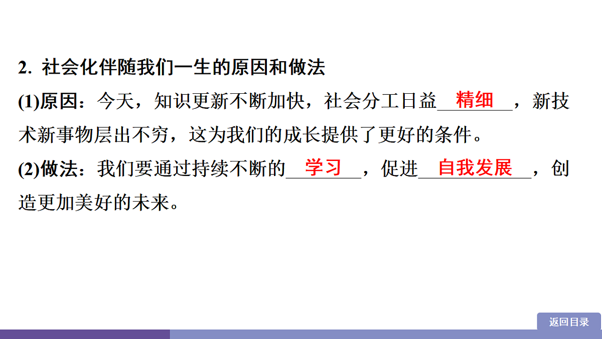 17358338第8页