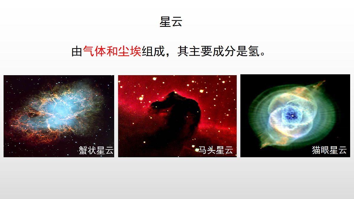 17358551第7页