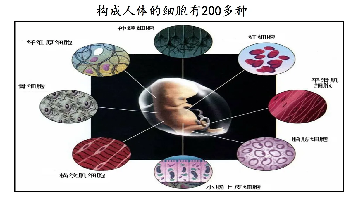 17358976第3页
