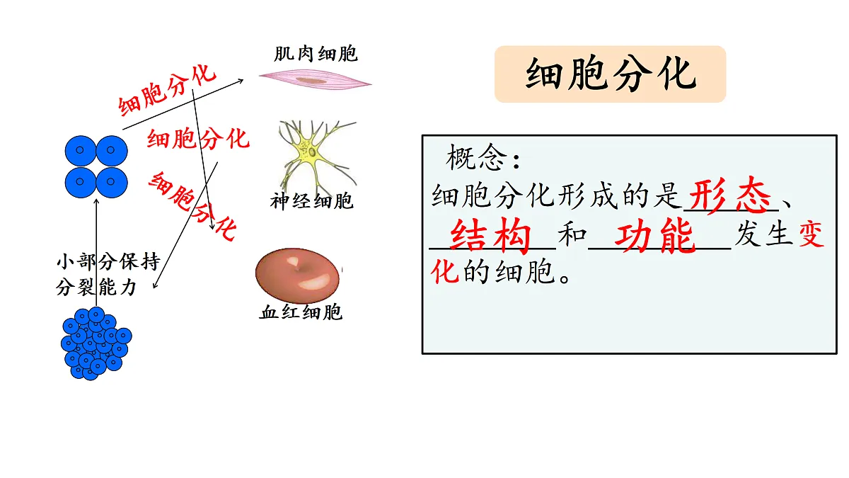 17358976第5页