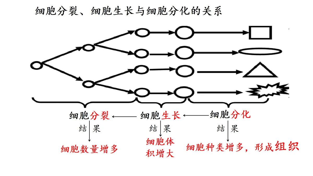17358976第7页