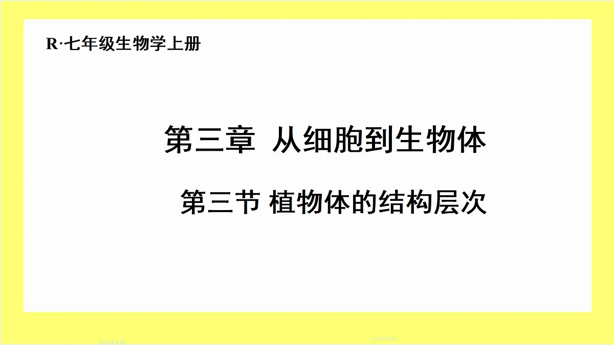 17359052第1页