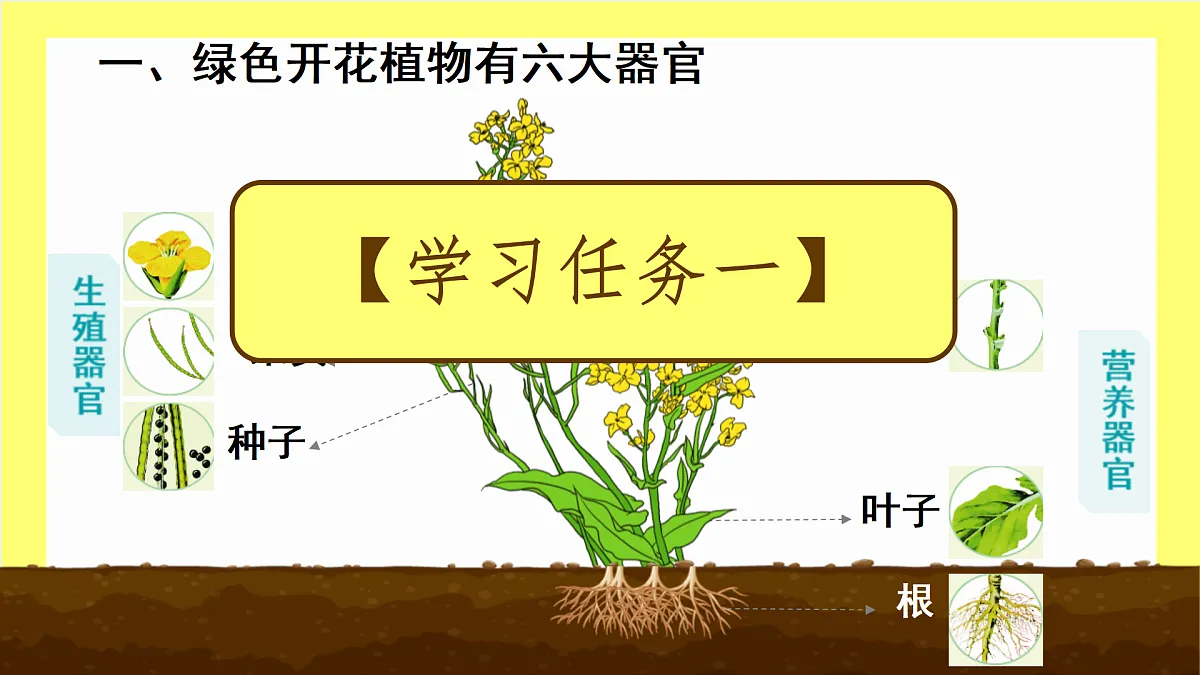 17359052第3页