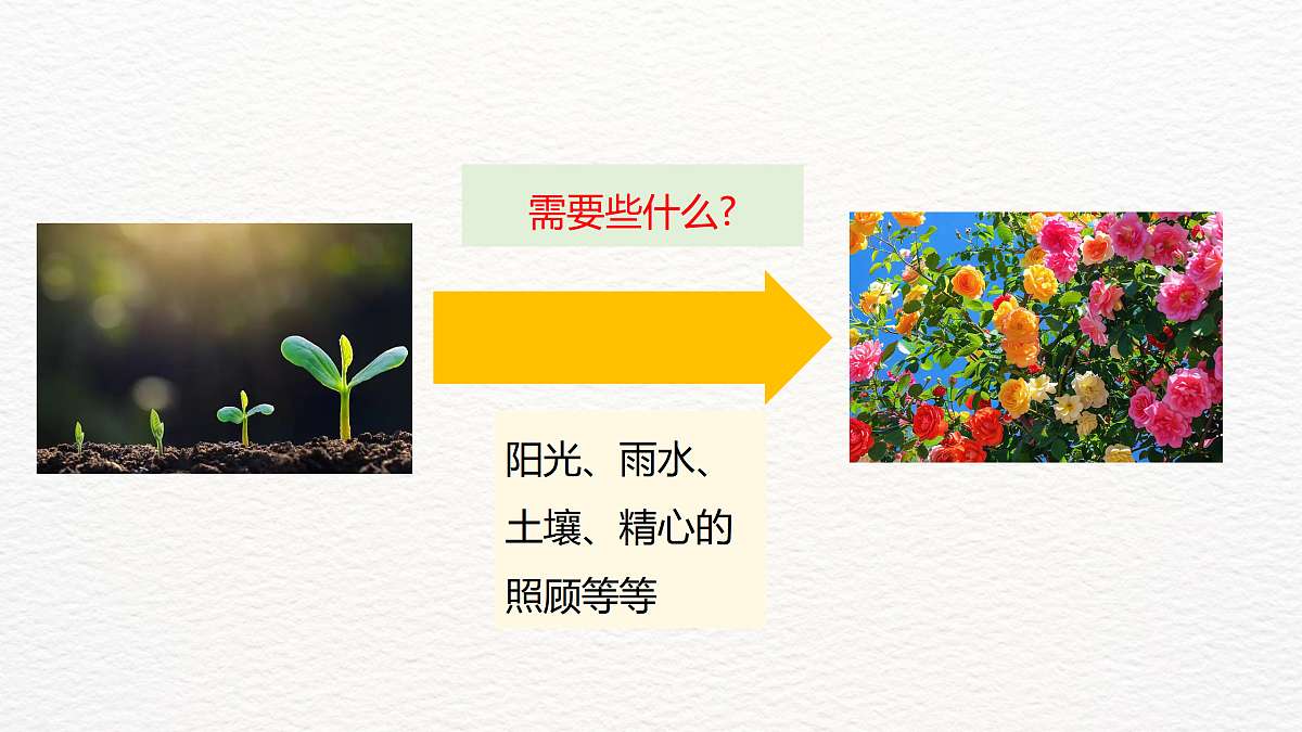 17359278第5页