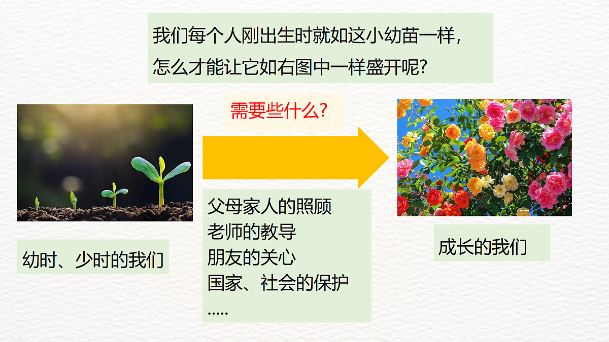 17359278第6页