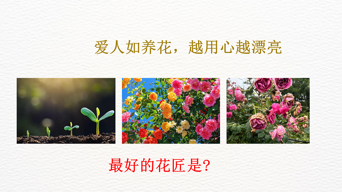 17359278第7页