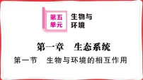 人教版（2024）八年级上册（2024）第一节 生物与环境的相互作用习题ppt课件
