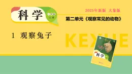 大象版一年級科學(xué)上冊 2.1 觀察兔子（教案+課件）
