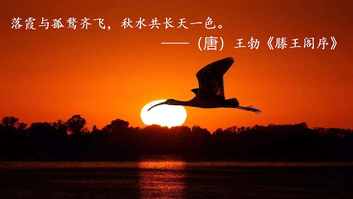 17360657第2页