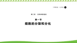 1.2.1細胞的分裂和分化 課件 2024蘇教版生物生七年級上冊